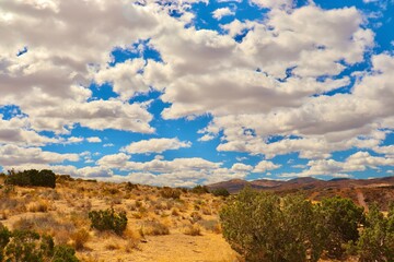 California Desert Landscape with Clouds and Mountain Background