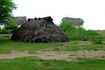 thatched roof house