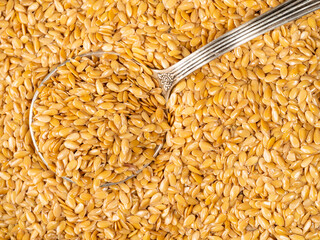 top view of silver tablespoon in golden flax seeds