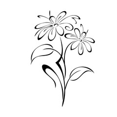 ornament 1774. stylized twig with blooming flowers and leaves in black lines on a white background