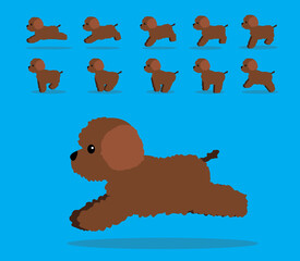 Animal Animation Sequence Dog Lagotto Romagnolo Cartoon Vector