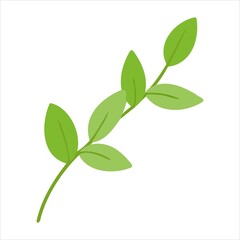 Vector illustration with a green sprig. Vector of plants in the doodle style for banners and postcards.yle plant vector for banners and postcards.