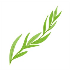 Vector illustration with a green sprig. Vector of plants in the doodle style for banners and postcards.yle plant vector for banners and postcards.