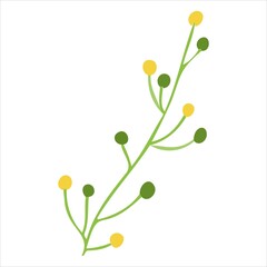 Vector illustration with a green sprig. Vector of plants in the doodle style for banners and postcards.yle plant vector for banners and postcards.