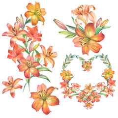 set of elements of lilies