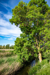 Obraz premium paisaje de primavera con el campo y flores en la Esapña central en primavera