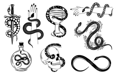 Snakes tattoo. Occult snake wrapped around hand, skull, dagger, bowl and poison. Serpent silhouette in flowers. Mystical tattoos vector set