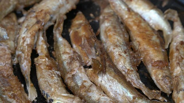 View of cooking frying capelin fish in iron pan. Grilled caplin fish - nutritious Korean dish where entire small fish, from head to tail, bones and roe can be enjoyed as an appetizer or side dish.