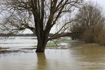 Inondations dans un paysage de campagne