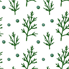 Hand drawn seamless pattern with green juniper branches with berries isolated on white background. Vector illustration in sketch style