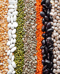 Food background with different legumes