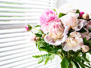 Beautiful pink peony bouquet in a vase.
