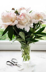 Beautiful pink peony bouquet in a vase.