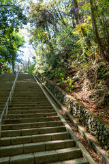 Obraz premium 高尾山の登山路