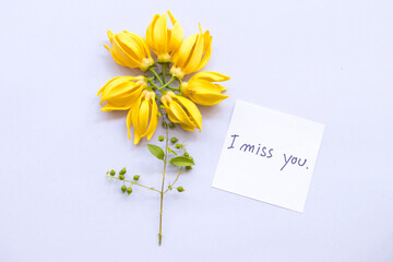 i miss you message card handwriting in with yellow flowers ylang ylang arrangement flat lay postcard style on background white