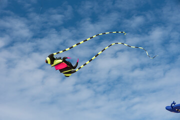 Colorful Kites flying over the sky