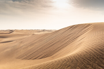 Fototapeta na wymiar Tour durch die Wüste in der Nähe von Dubai mit unbeschreiblichem Blick über die Dünen
