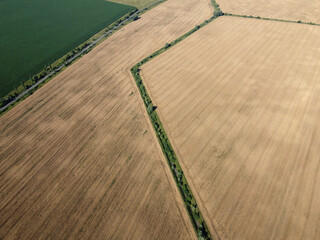 An old irrigation canal overgrown with trees among a wheat field, aerial view. Dry irrigation canal in the field, landscape.