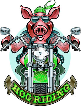 hog pig driving a motorcycle 