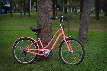 ink city women's bike on the green grass in the Park near the pine tree.j