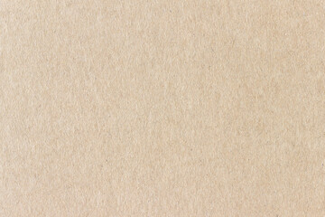 Fototapeta na wymiar The surface of a flat cardboard sheet. Uniform light brown texture.