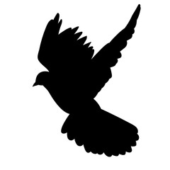 flying bird black silhouette, dove, vector, isolated