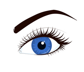 vector illustration of a blue female eye with lush lashes, isolated on a white background