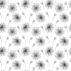 Daisy flower seamless fabric pattern, seamless digital paper