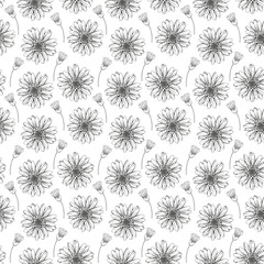 Daisy flower seamless fabric pattern, seamless digital paper
