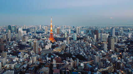 Night view of Tokyo Skylines with the Tokyo Tower. Tokyo is both the capital and largest city of Japan.