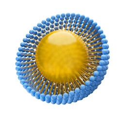 Medical 3D illustration of a monolayer micelle structure with a fat-soluble molecule inside the particle and one tail pointing inwards. Isolated on white background
 - obrazy, fototapety, plakaty