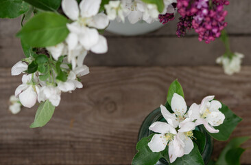 frame of apple and lilac flowers, shot close-up