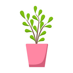 Green home plant in pink pot, isolated on white background. Flat style, vector illustration