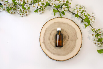 Spa aromatherapy flat lay with essential oil bottle on saw cut and blooming branch. Natural beauty products for anti-cellulite oil massage, body care. Eco friendly minimal concept. Top view.