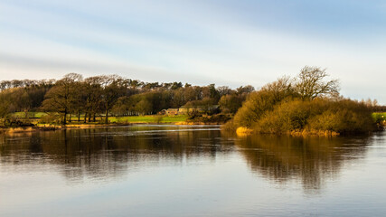 Fototapeta na wymiar Reflection on the River Dee from Lamb Island on Threave Estate, Scotland