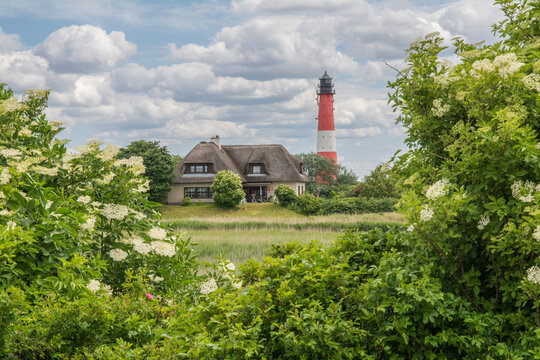 leuchtturm auf der nordseeinsel pellworm