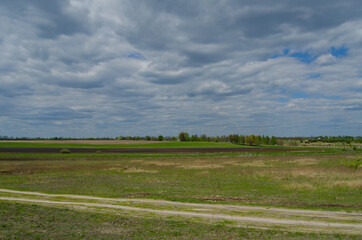 Obraz premium Spring landscape with an earth road, fields, trees in rural Ukrainian area