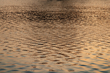 Wellen bei Sonnenaufgang