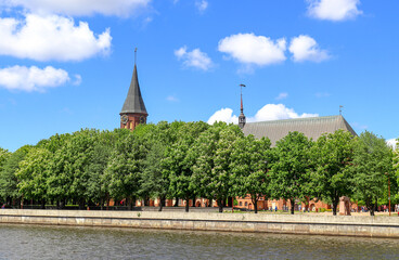 Fototapeta na wymiar Konigsberg Cathedral surrounded by flowering chestnuts. Spring in Kaliningrad