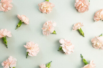 Pastel pink carnation flowers on green background. flat lay, top view, copy space