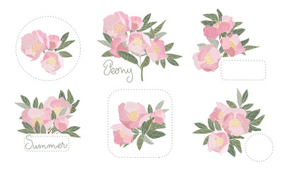 floral illustration. Pink peonies are collected in bouquets. Lettering Peony, Summer.
Suitable for postcards, stickers, promotional items
