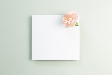 Memo pad with carnation flower on green background. top view, copy space