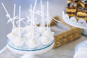Tasting delicious cakes, close-up. Sweet dessert plate, dessert choice for party or wedding, gastronomy, event organization concept