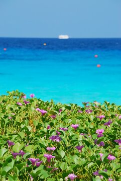 「たにま」の写真素材 | 96,091件の無料イラスト画像 | Adobe Stock