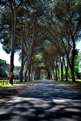 Magical places and hills of Tuscany  