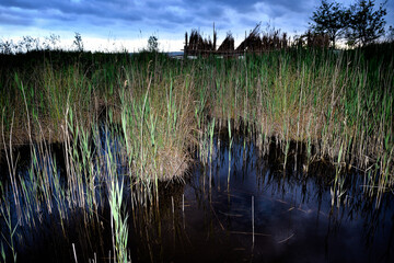 Magical places and hills of Tuscany  