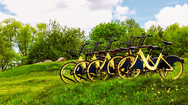 Conceptual image of travel. Bicycles on a hill in greenery with dandelions