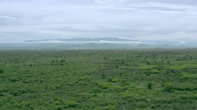 African landscapes - drone flight over green savanna of the Omo Valley in Ethiopia.