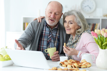 Senior couple portrait with laptop