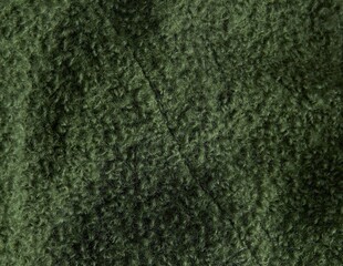 Green wool fleecy coat fabric texture